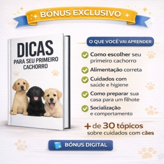 Kit Primeiro Cachorro Acessórios Filhote Comedouro Guia